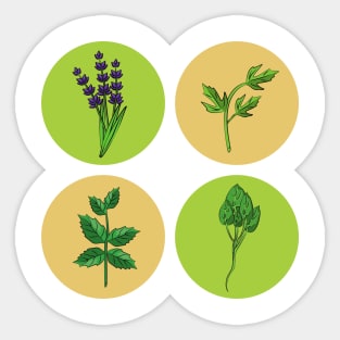 Aromatic Herbs Sticker